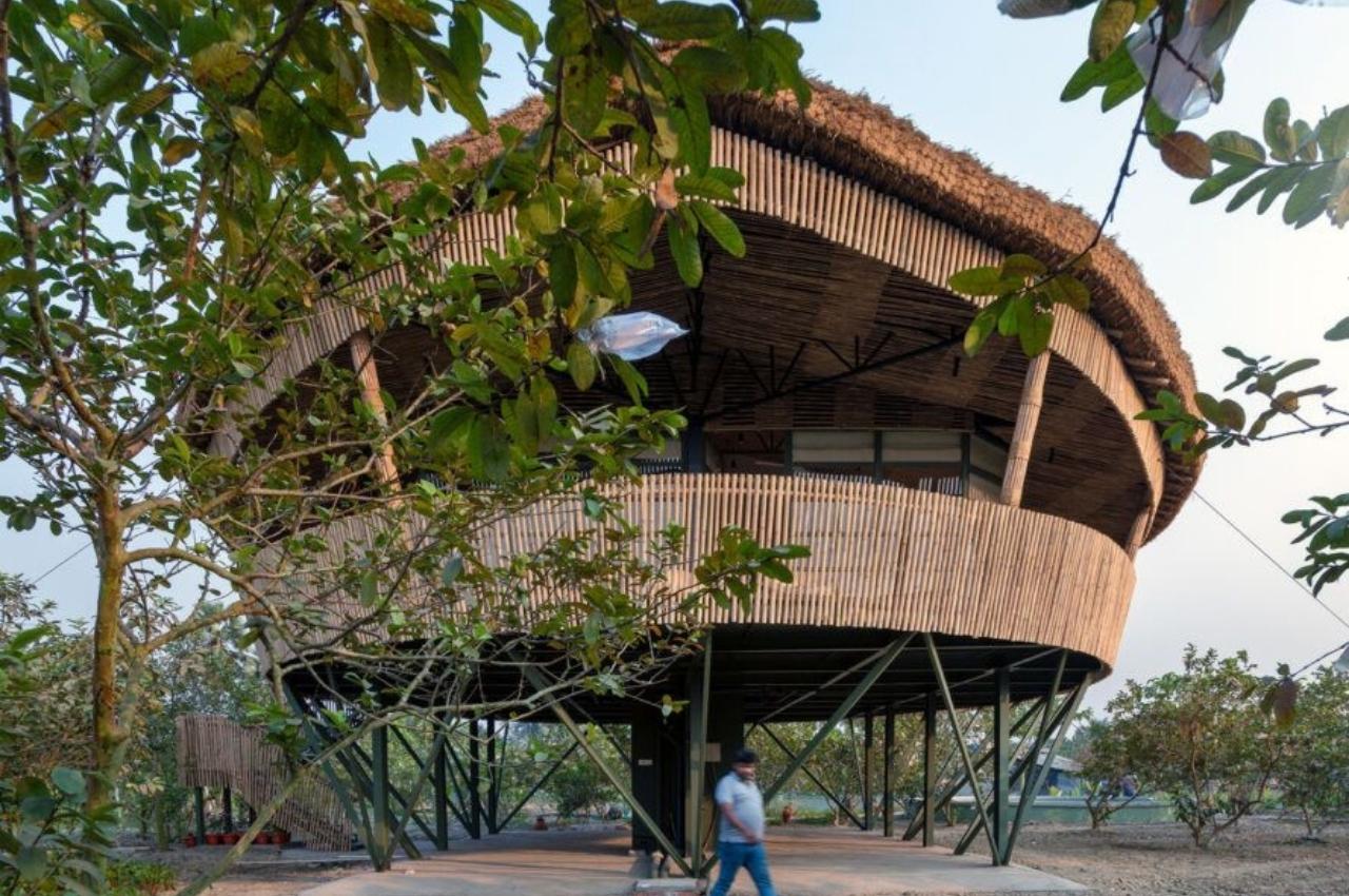 Bamboo House，Bamboo，house，Scenery，Architecture，Minimalism，