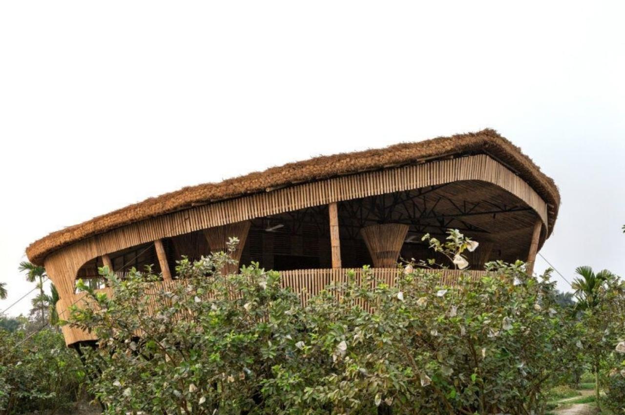 Bamboo House，Bamboo，house，Scenery，Architecture，Minimalism，