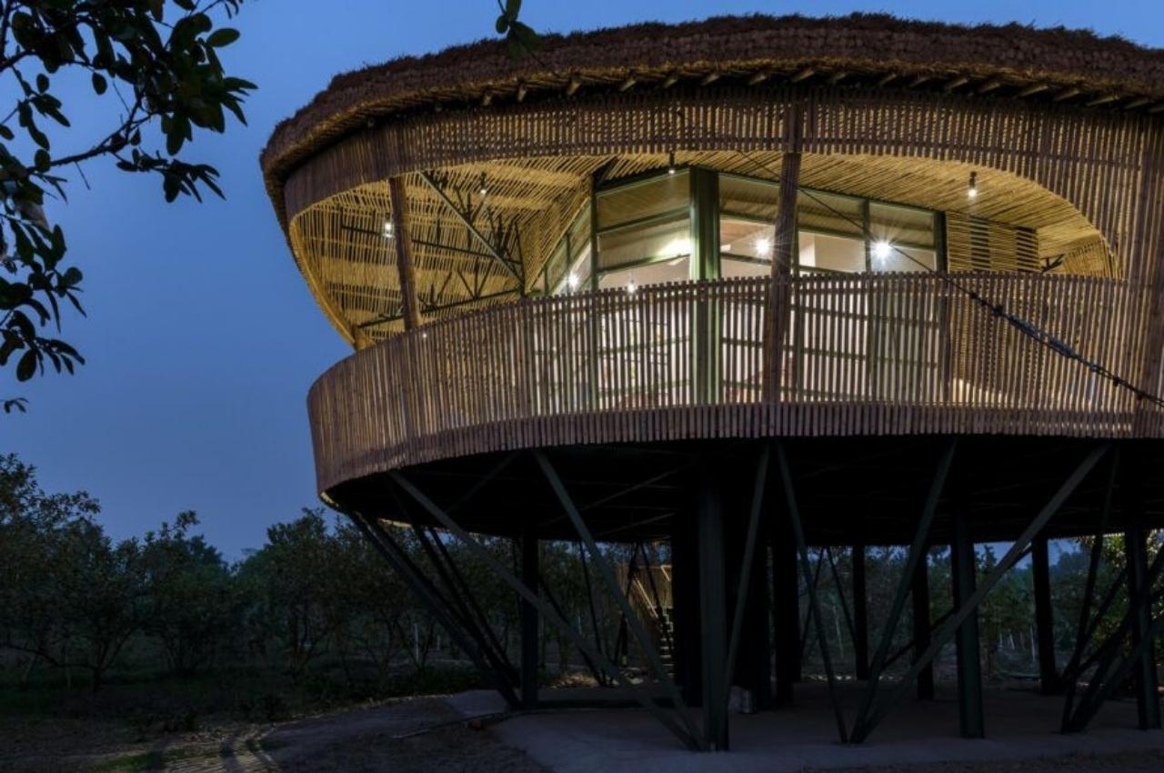 Bamboo House，Bamboo，house，Scenery，Architecture，Minimalism，