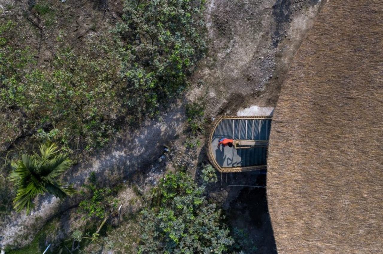 Bamboo House，Bamboo，house，Scenery，Architecture，Minimalism，