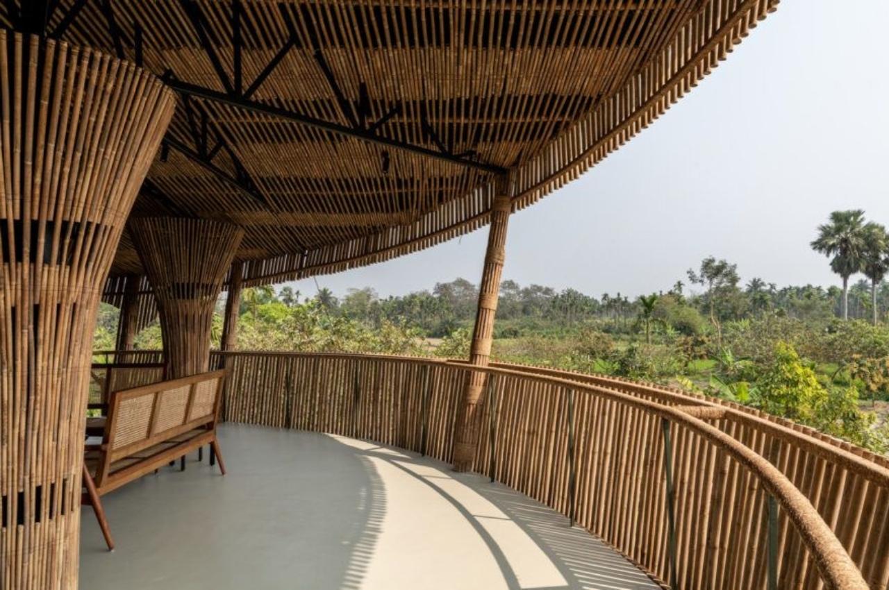 Bamboo House，Bamboo，house，Scenery，Architecture，Minimalism，