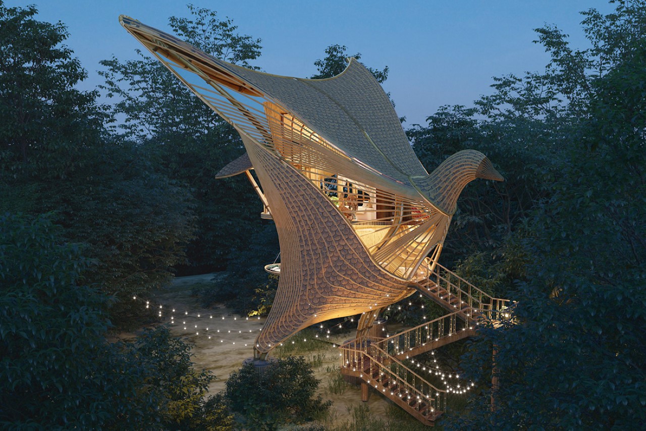 villa，Bamboo forest，wood，Architectural design，forest，