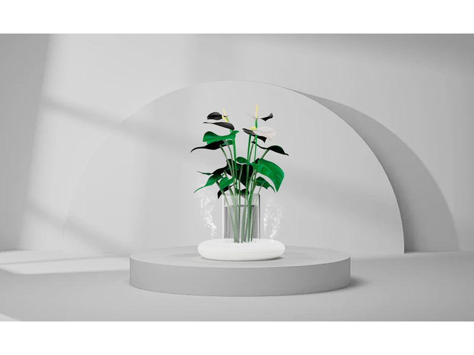 Aromatherapy，Botany，vase，aroma，modularization，