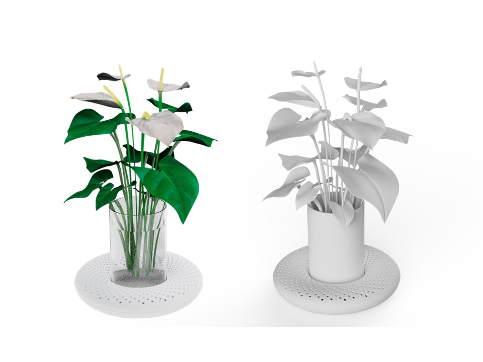 Aromatherapy，Botany，vase，aroma，modularization，