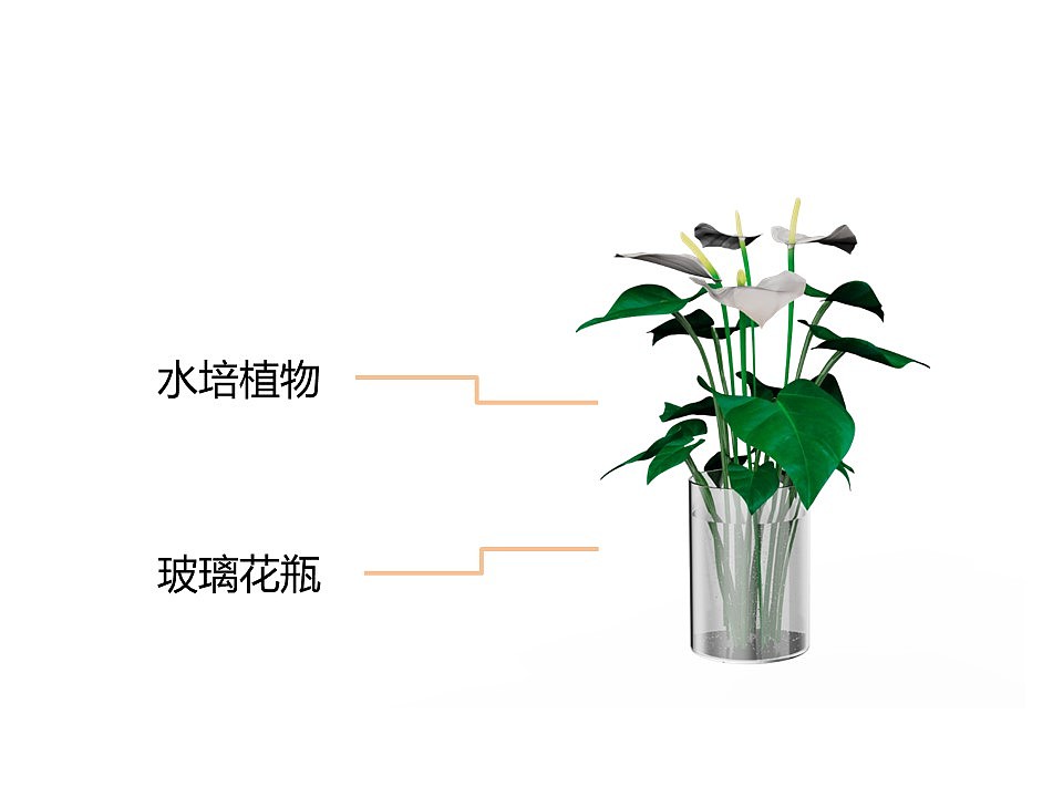 Aromatherapy，Botany，vase，aroma，modularization，