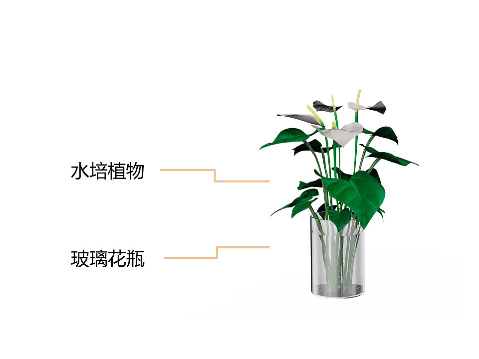 香薰，植物，花瓶，香气，模块化，