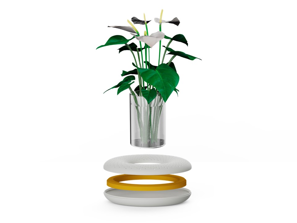 Aromatherapy，Botany，vase，aroma，modularization，