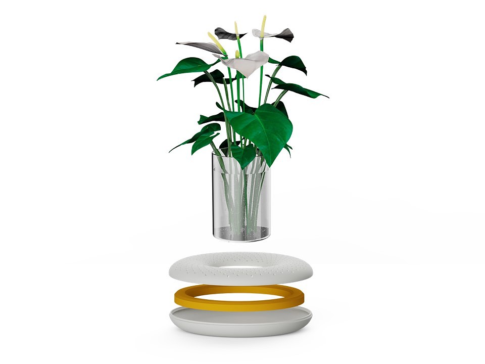 Aromatherapy，Botany，vase，aroma，modularization，