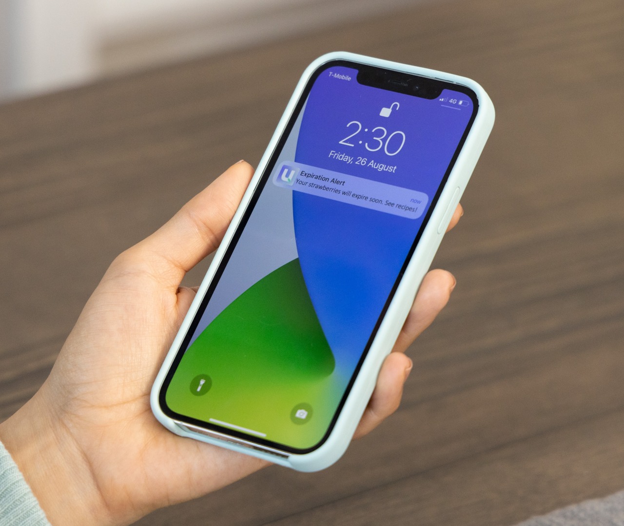 Preservation，aurora，ultraviolet rays，Store food，