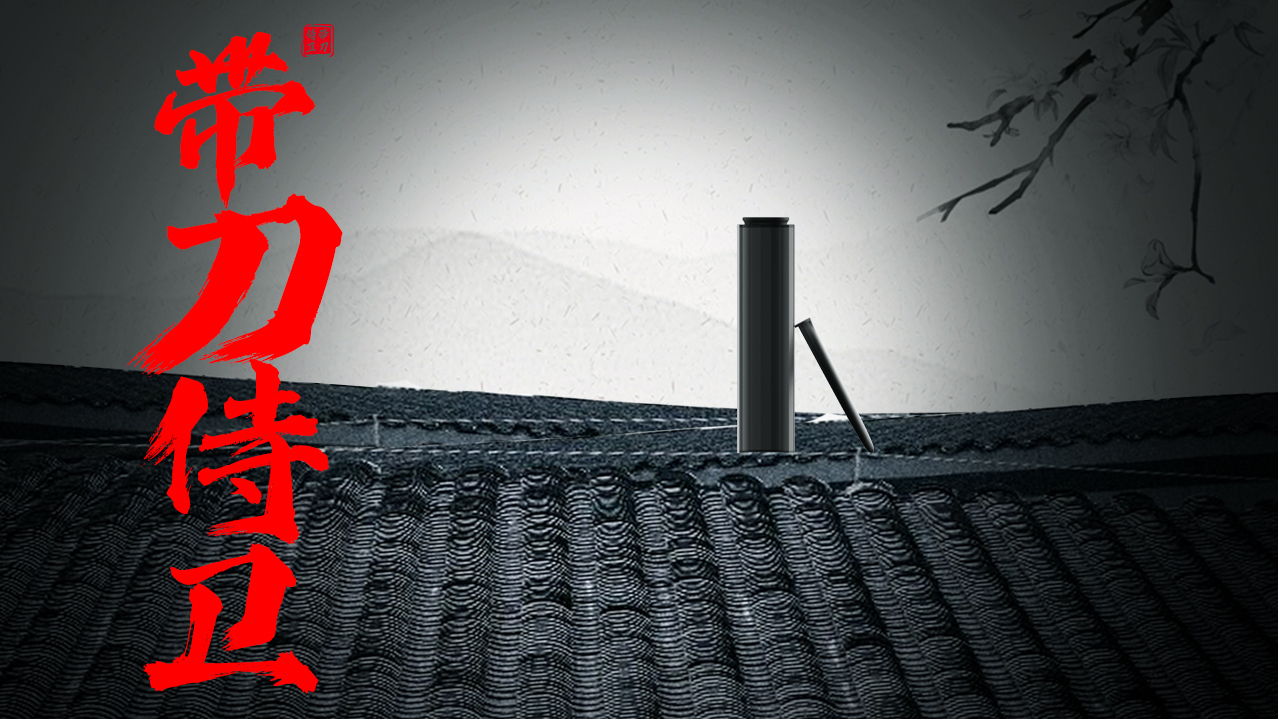 traditional culture，moxibustion，Home use，