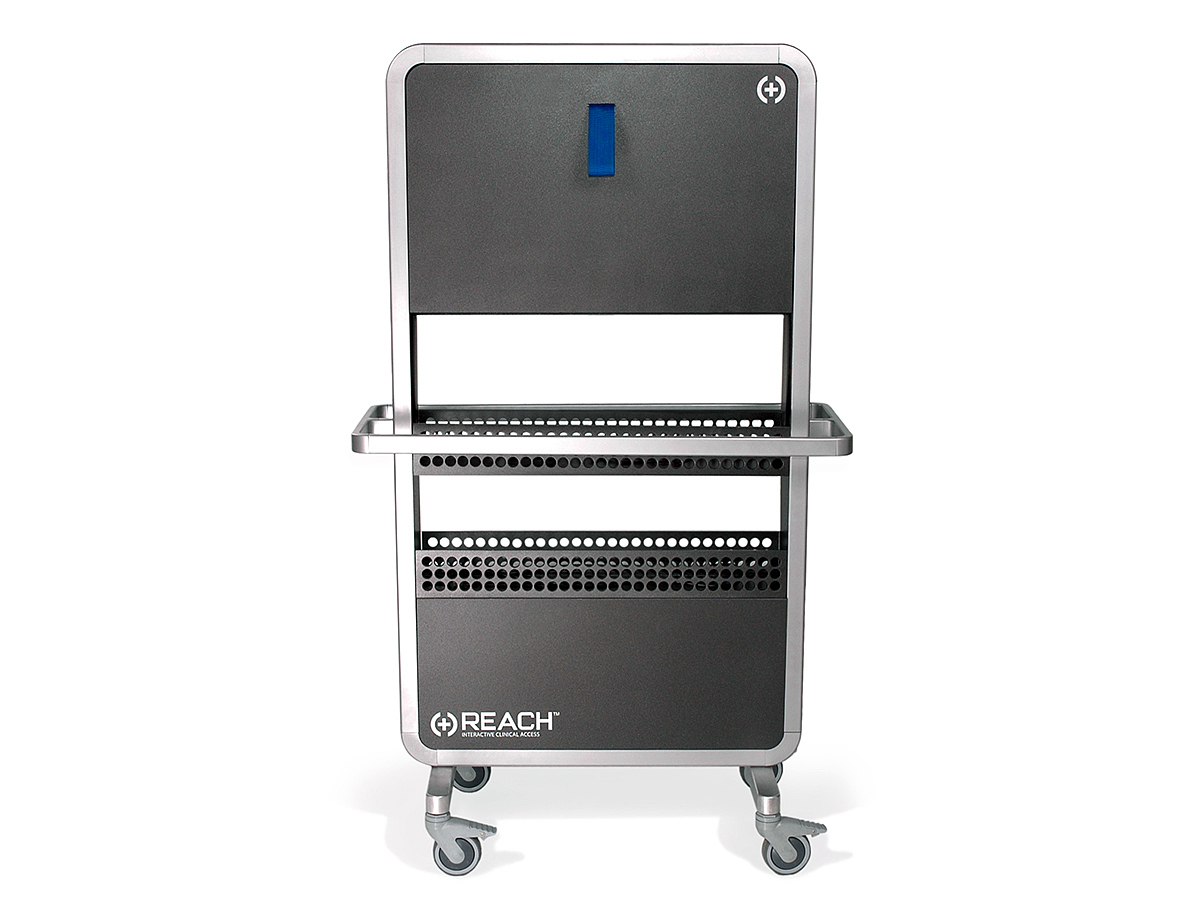 REACH，long-range，medical care，system，