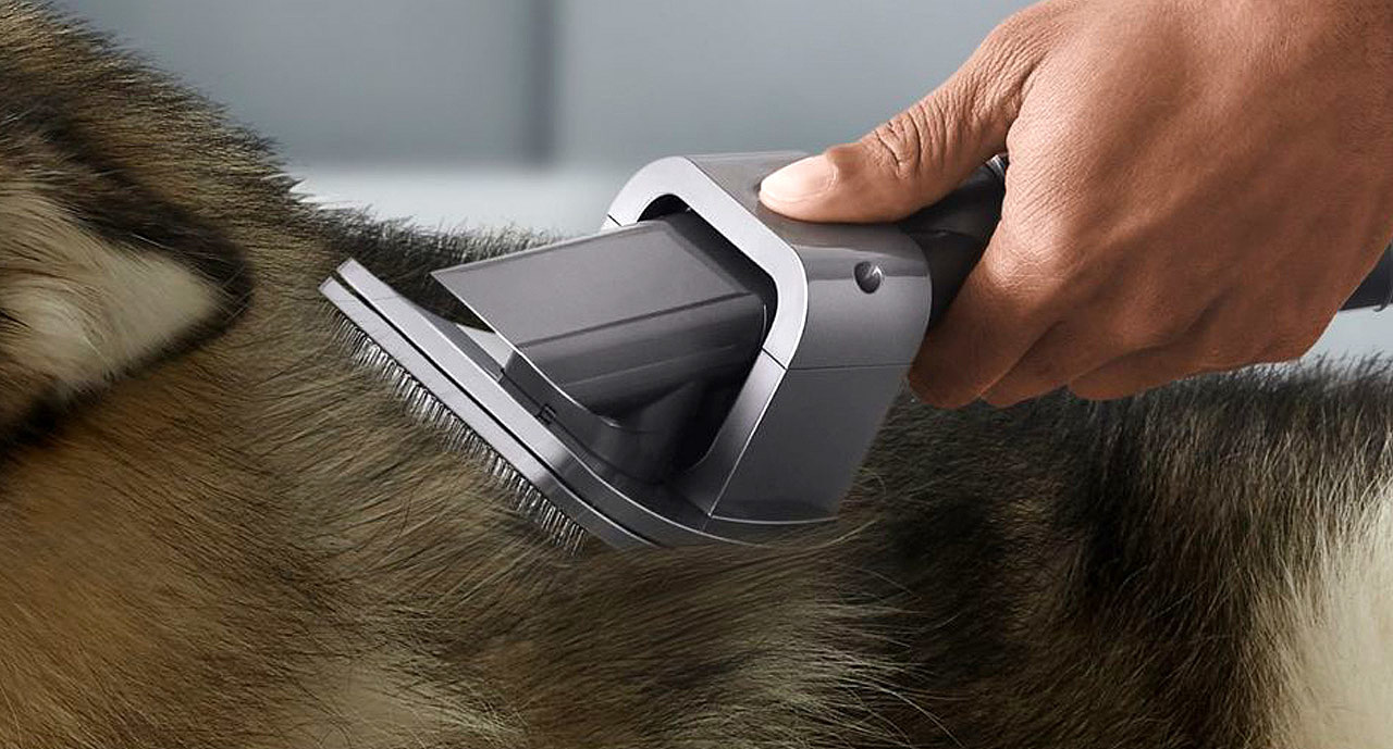 Dyson，Pet Beauty，comb，