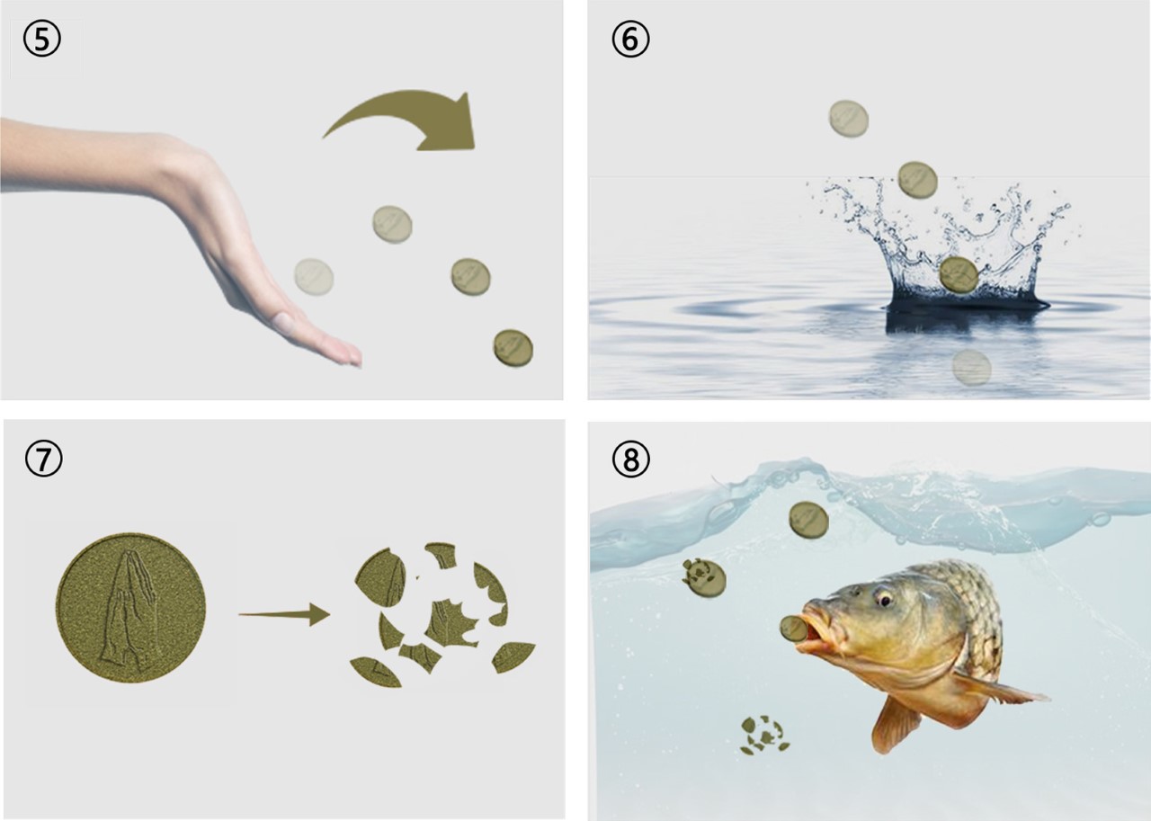 Coin，originality，Design，Seaweed coin，environment protection，design，