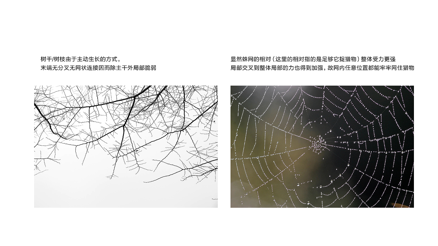 Modeling skeleton, visual intensity, Nato Fukasawa, Apple products，