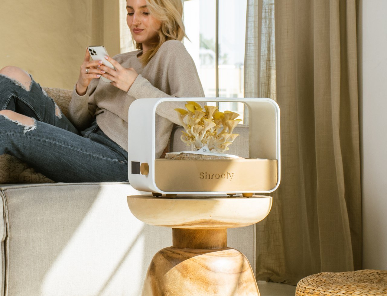 Shrooly，plant，Home，science and technology，Green plant，