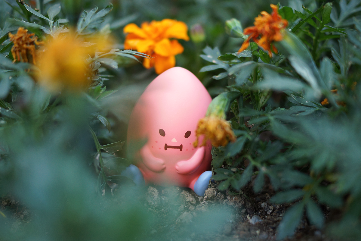 Wanggooma，lovely，decorate，