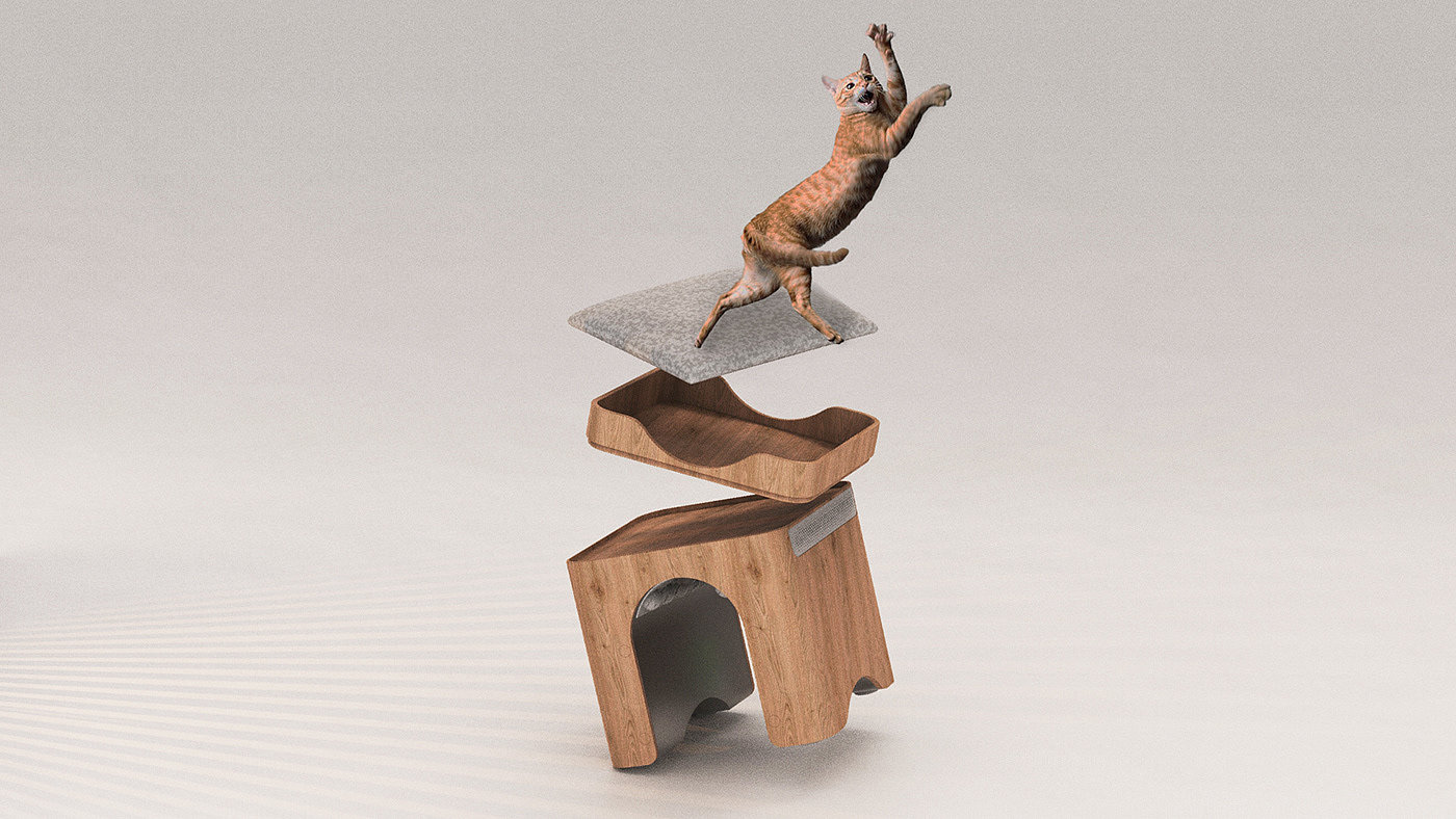 cat，practical，estrus，wooden ，