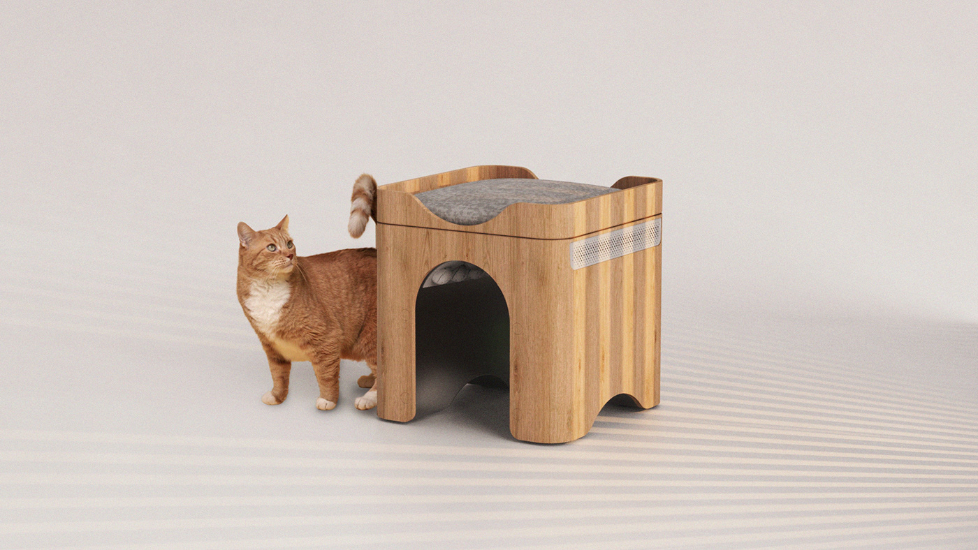 cat，practical，estrus，wooden ，