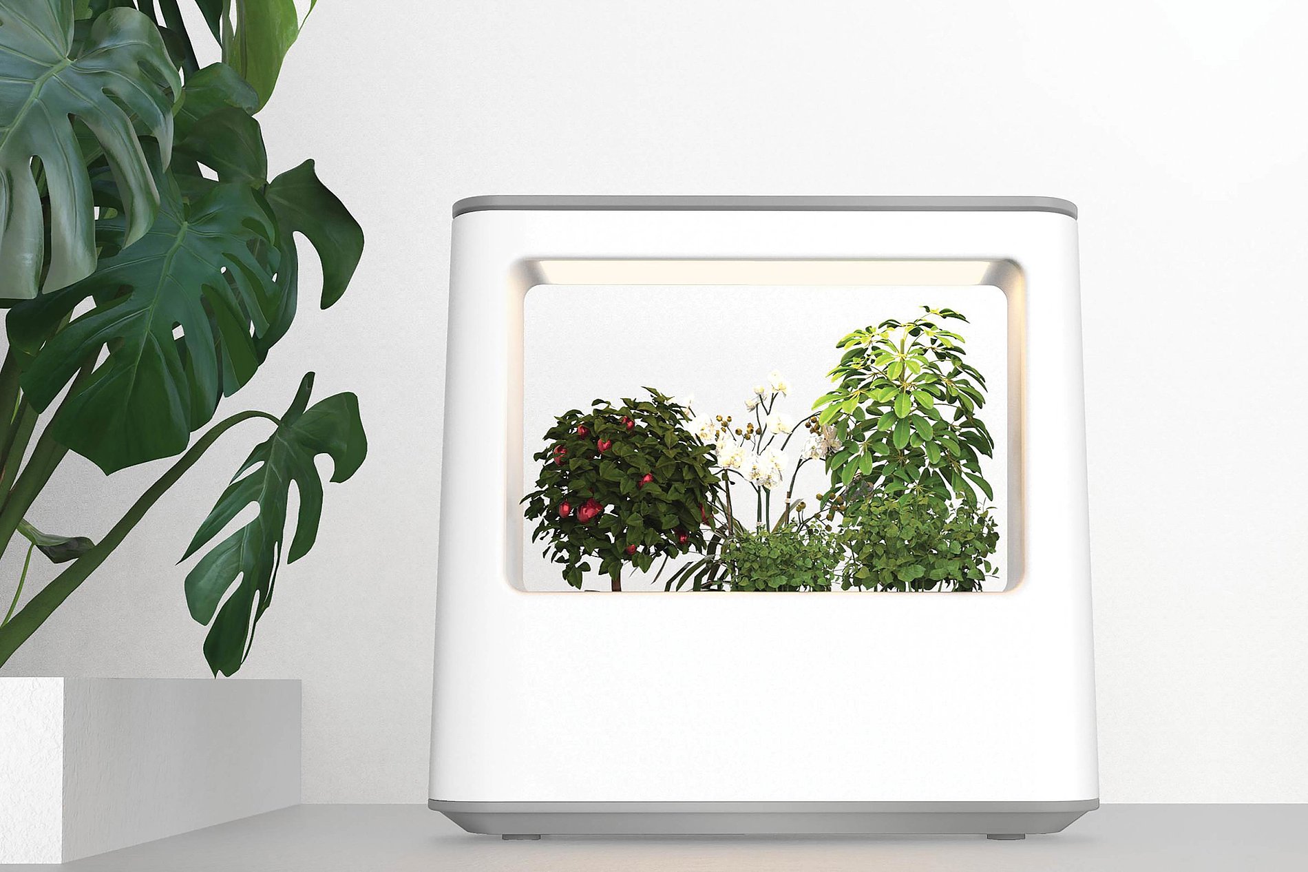 2022 Red Dot Design Concept Award，Animals and plants，Flora & Fauna，