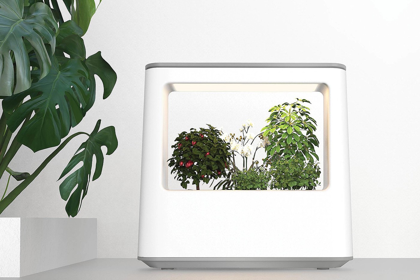 2022 Red Dot Design Concept Award，Animals and plants，Flora & Fauna，