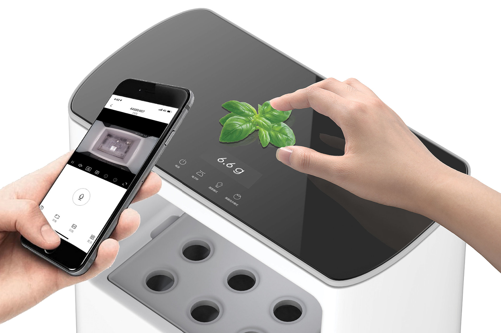 2022 Red Dot Design Concept Award，Animals and plants，Flora & Fauna，