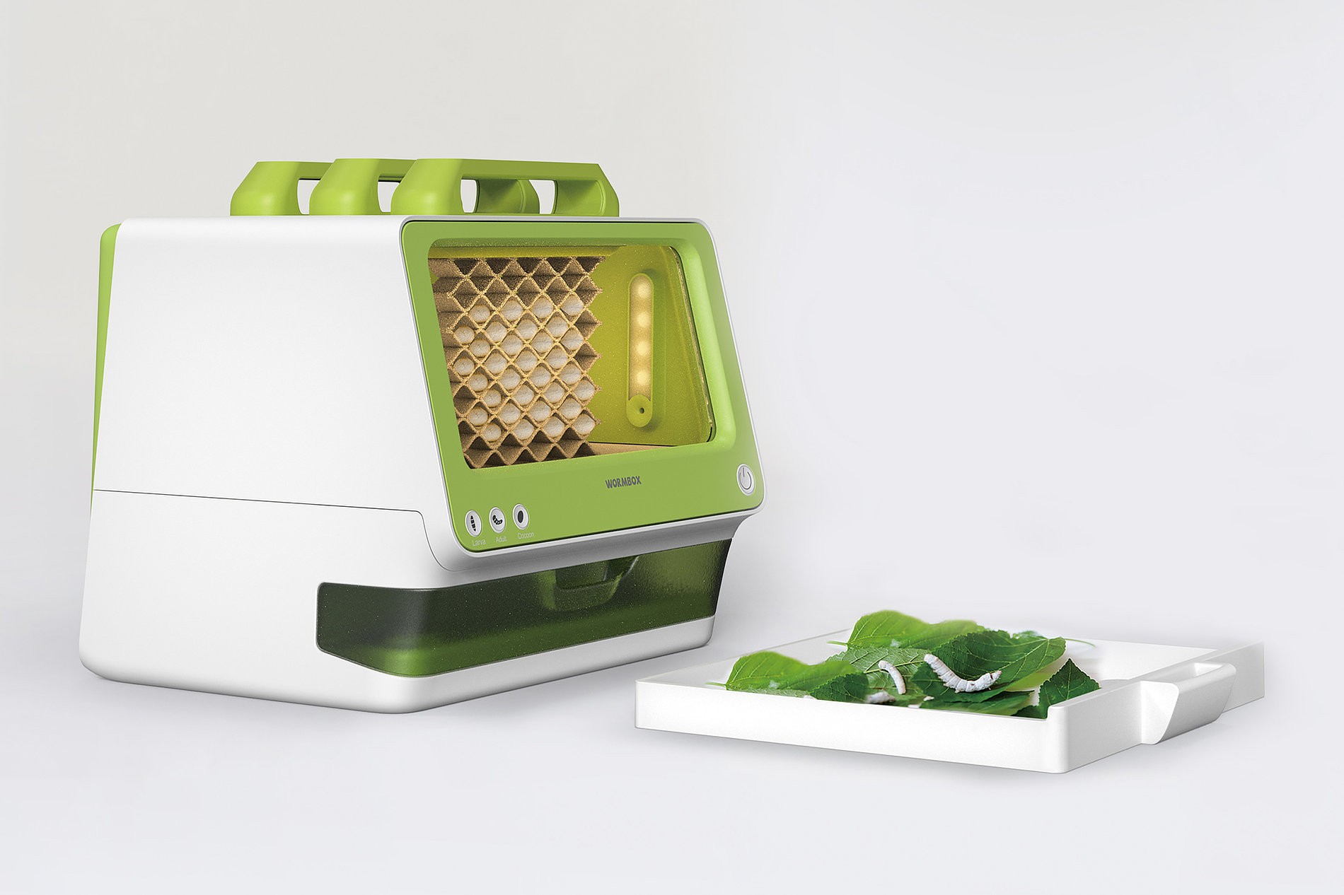 2022 Red Dot Design Concept Award，Animals and plants，Flora & Fauna，