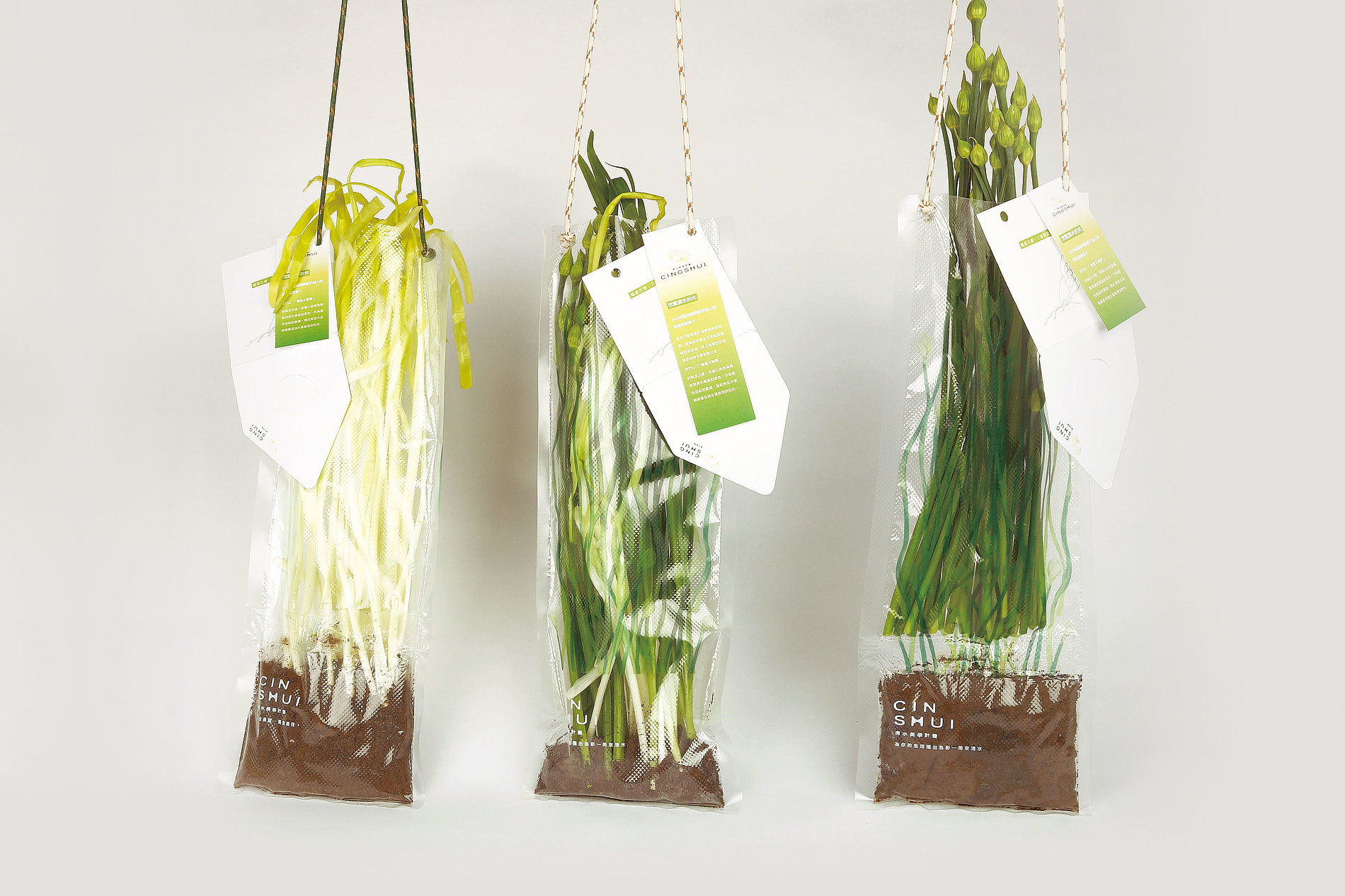 2022 Red Dot Design Concept Award，packing design，Packaging，