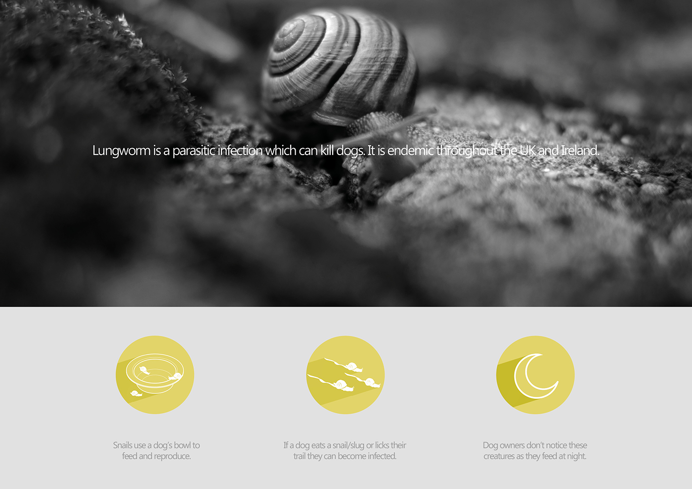 Pets，Dog food，equipment，