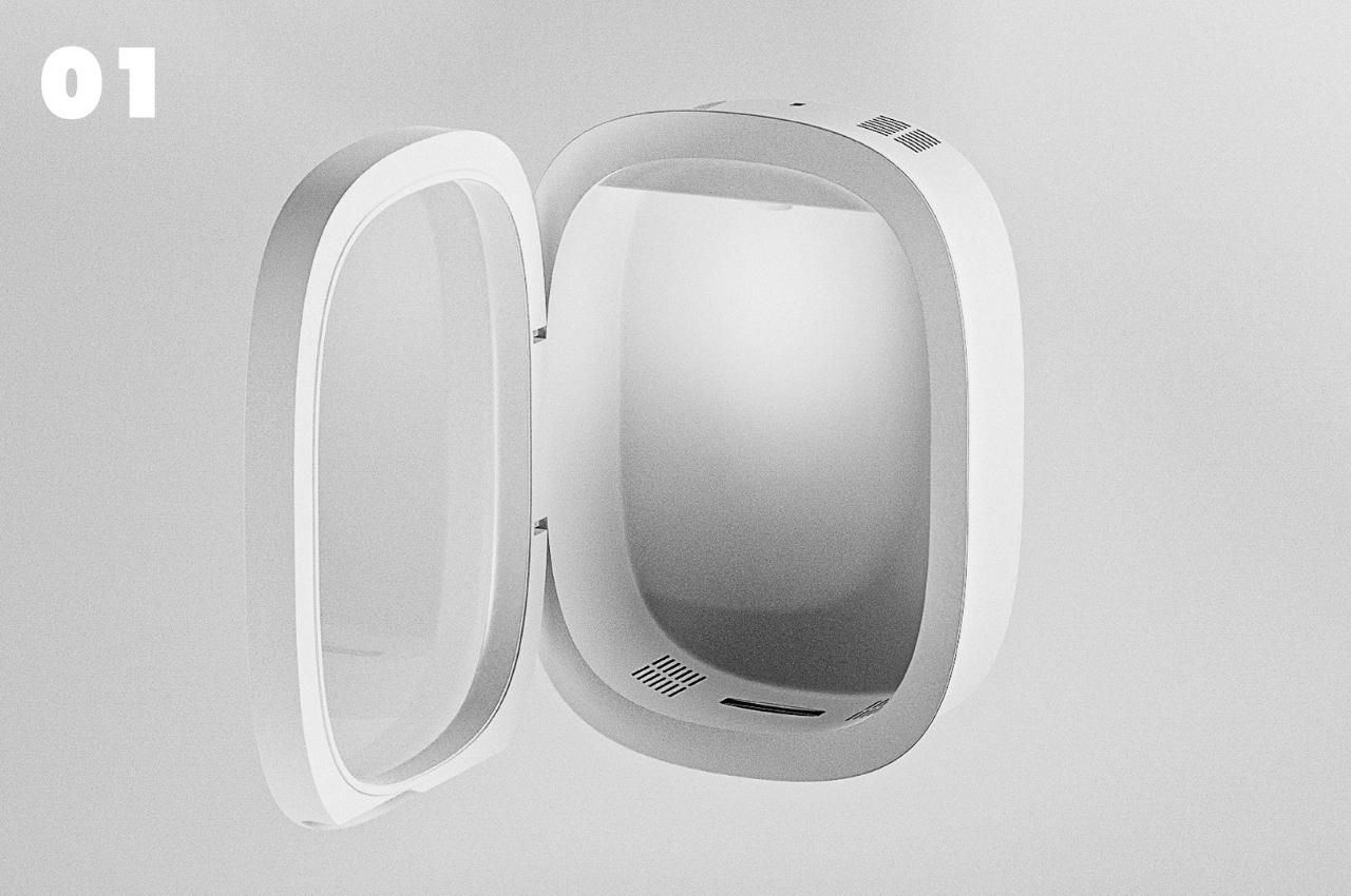 concept，flowers and plants，vase，tool，flora，