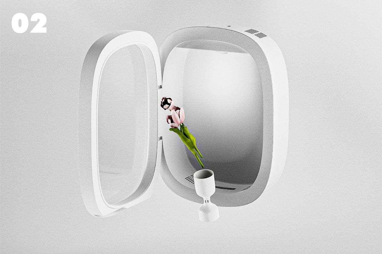 concept，flowers and plants，vase，tool，flora，