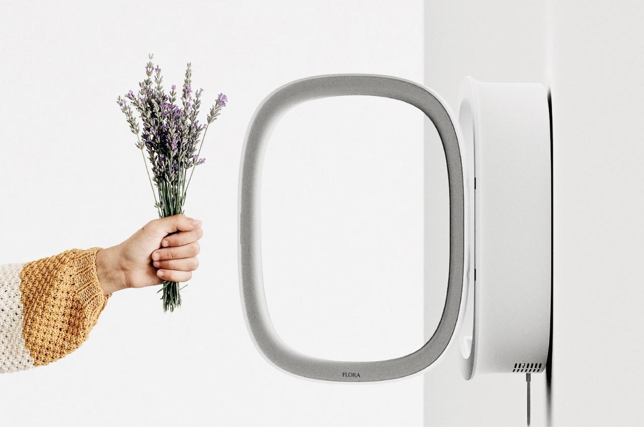 concept，flowers and plants，vase，tool，flora，