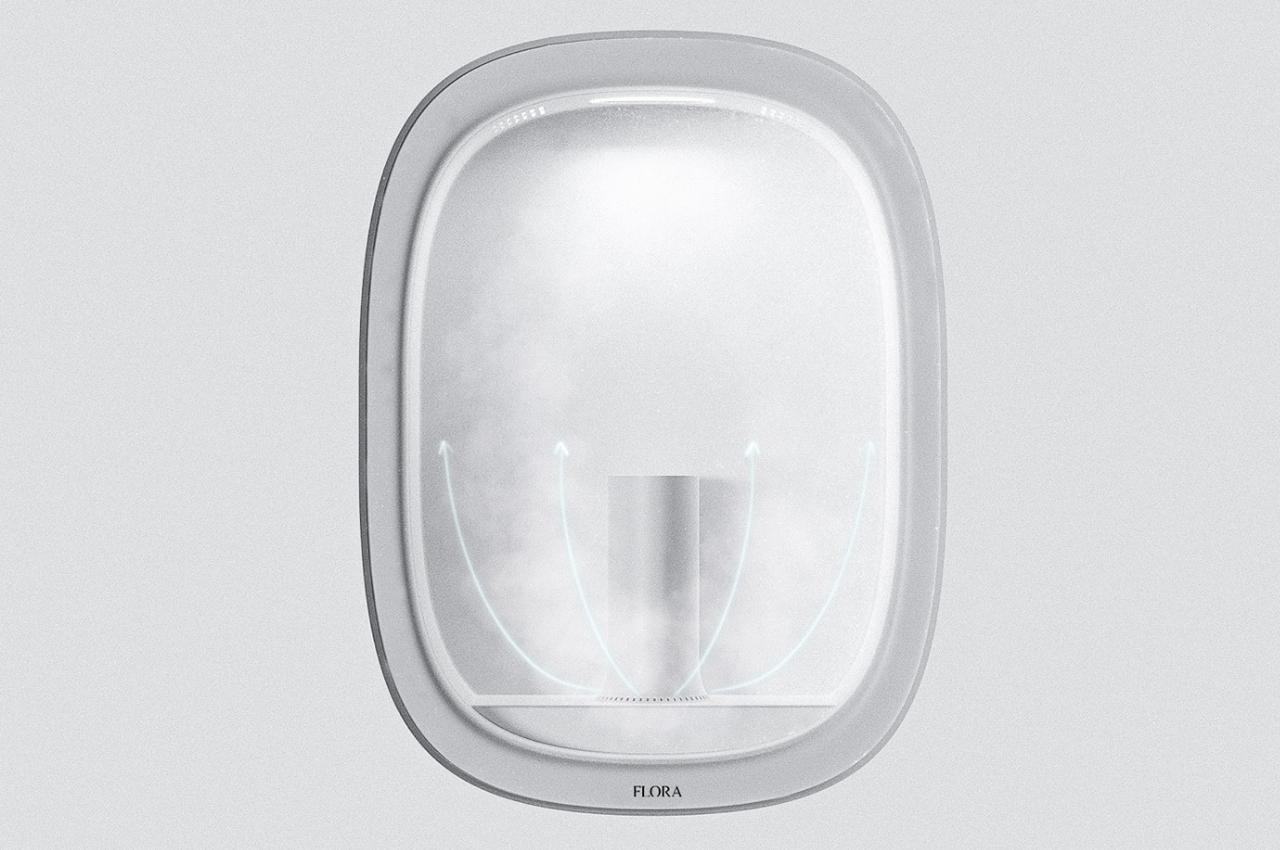 concept，flowers and plants，vase，tool，flora，