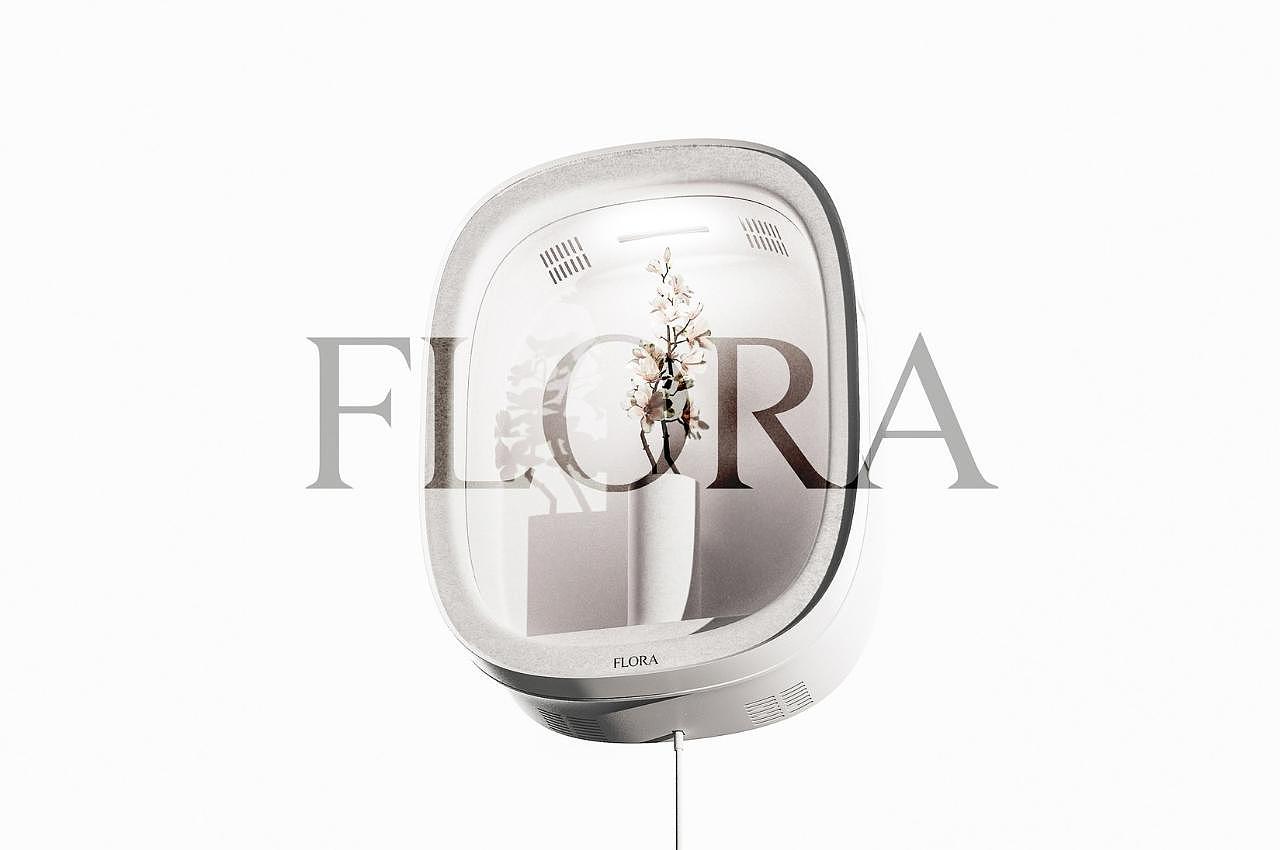 concept，flowers and plants，vase，tool，flora，