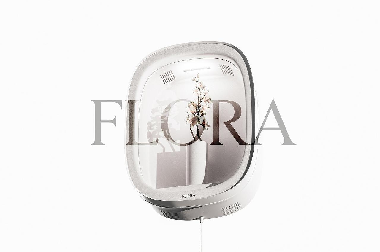 概念，花卉，花瓶，工具，flora，