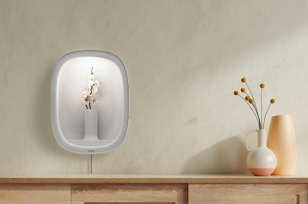 concept，flowers and plants，vase，tool，flora，