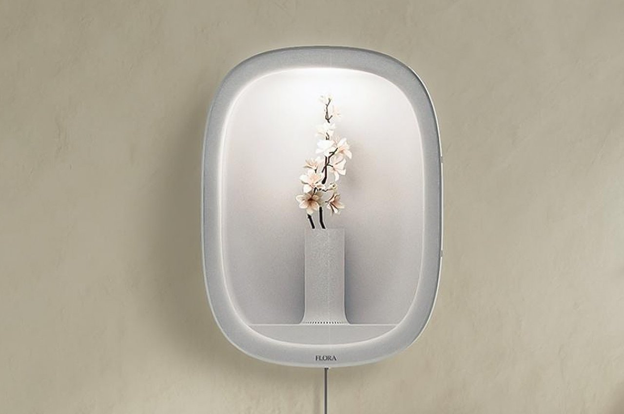 concept，flowers and plants，vase，tool，flora，