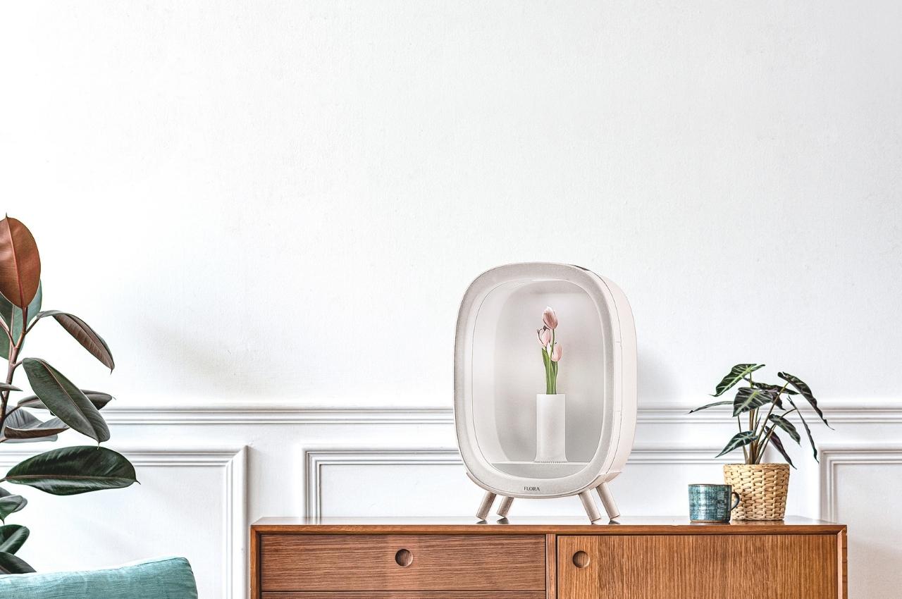 concept，flowers and plants，vase，tool，flora，