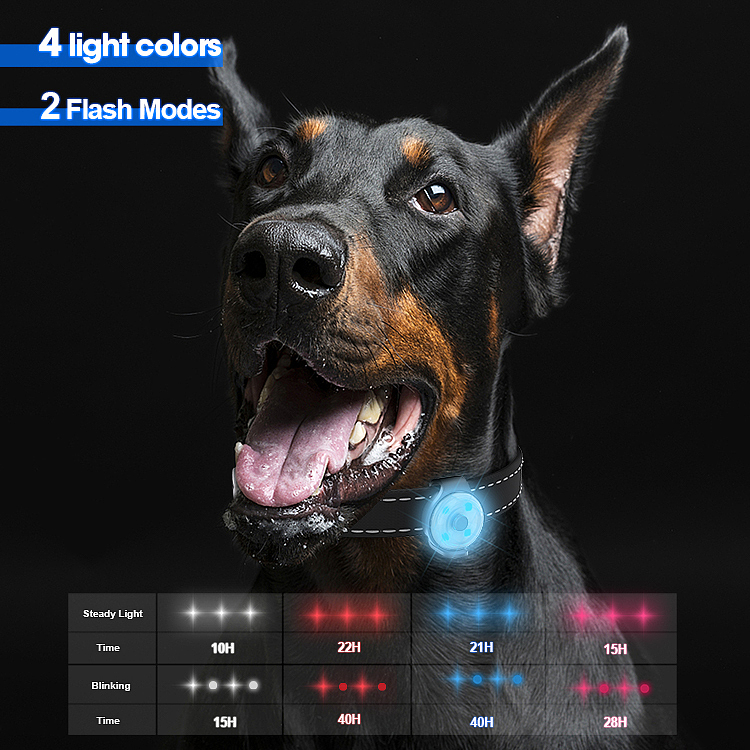 Pet lamp，Warning light，LED lamp，led，dog，