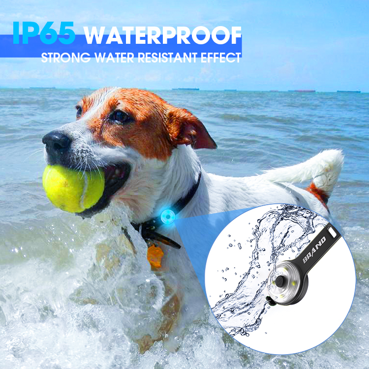 Pet lamp，Warning light，LED lamp，led，dog，