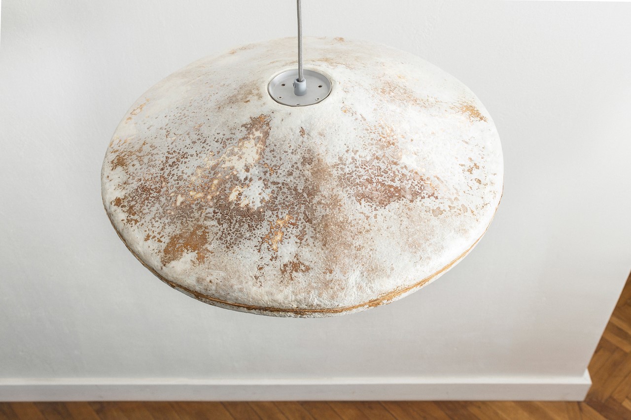a chandelier，Home Furnishing，mycelium，product design，Tool design，Lampshade，