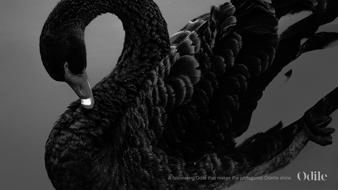 Odile，Eye care equipment，Reduce eye fatigue，Personal care，