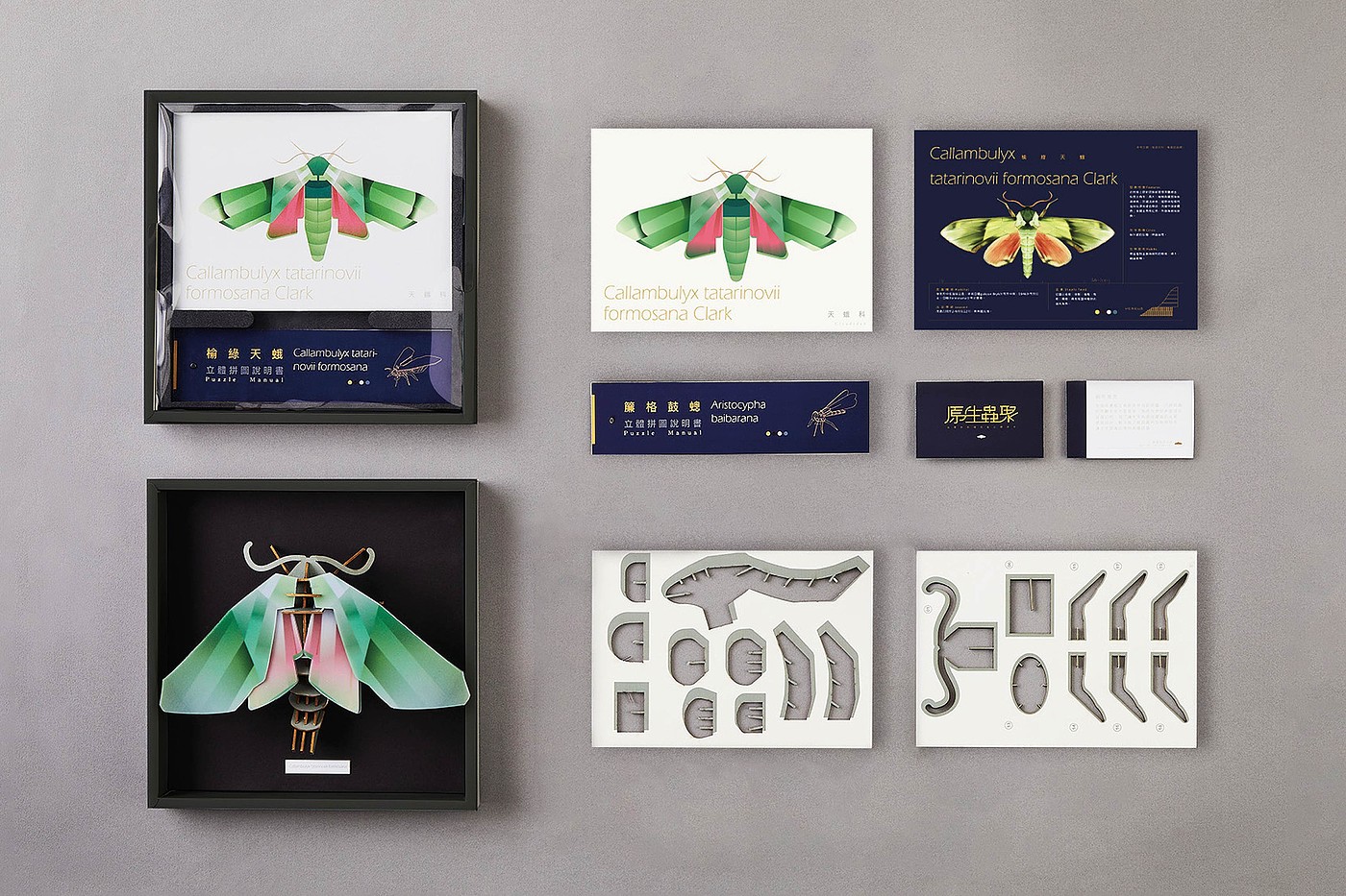 2022 Red Dot Design Concept Award，Animals and plants，Flora & Fauna，