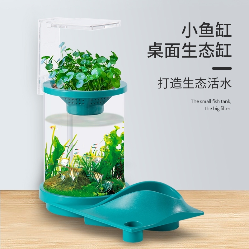 Ecological cylinder，Water cycle，