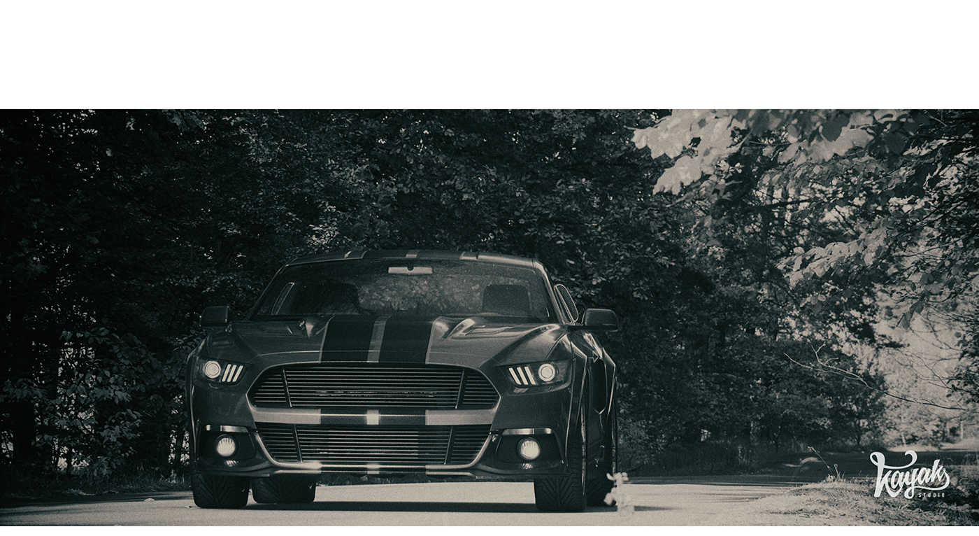 wild horse，Render，VERY，automobile，