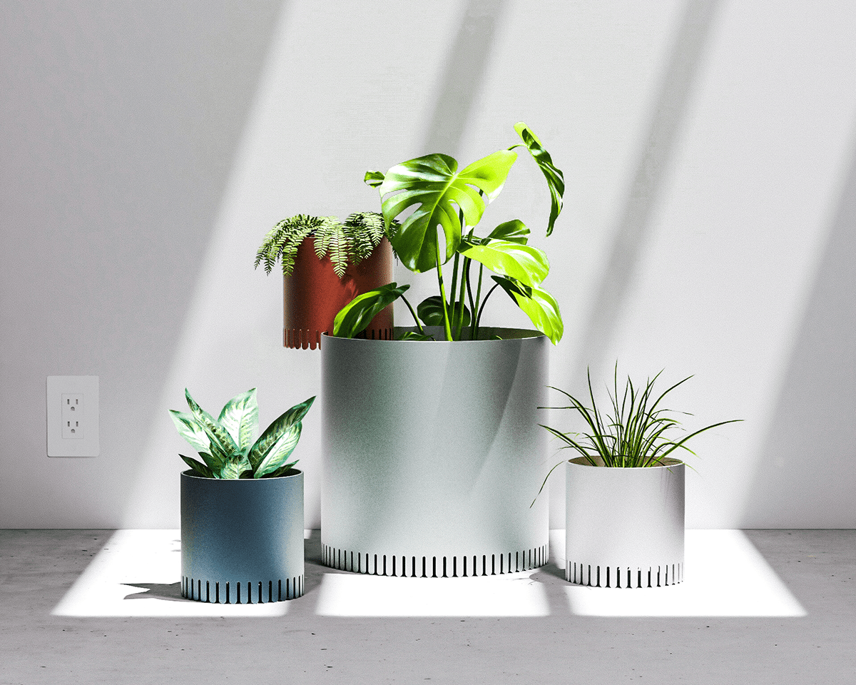 industrial design，product design，to work in an office，indoor，Green plant，