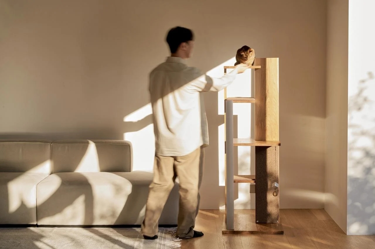 Petpartment，Cat climbing frame，furniture，originality，