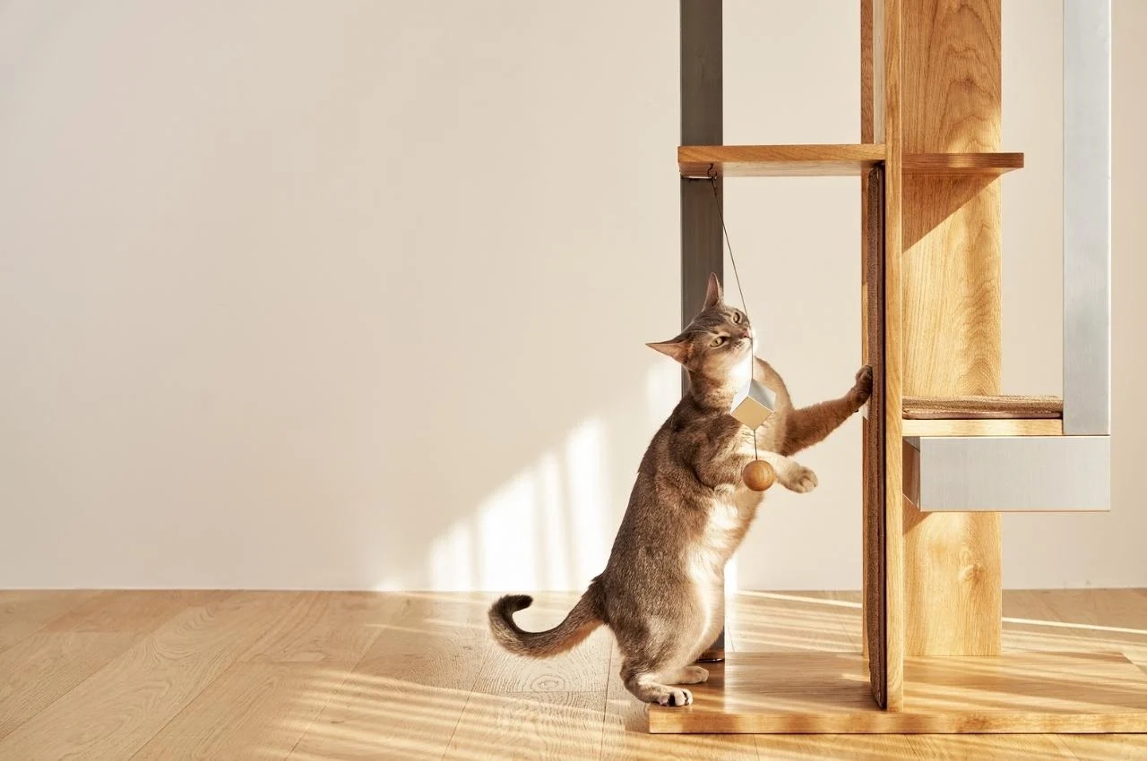 Petpartment，Cat climbing frame，furniture，originality，