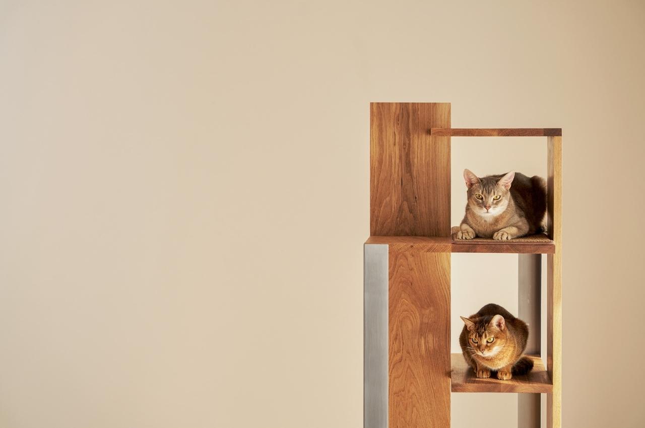 Petpartment，Cat climbing frame，furniture，originality，