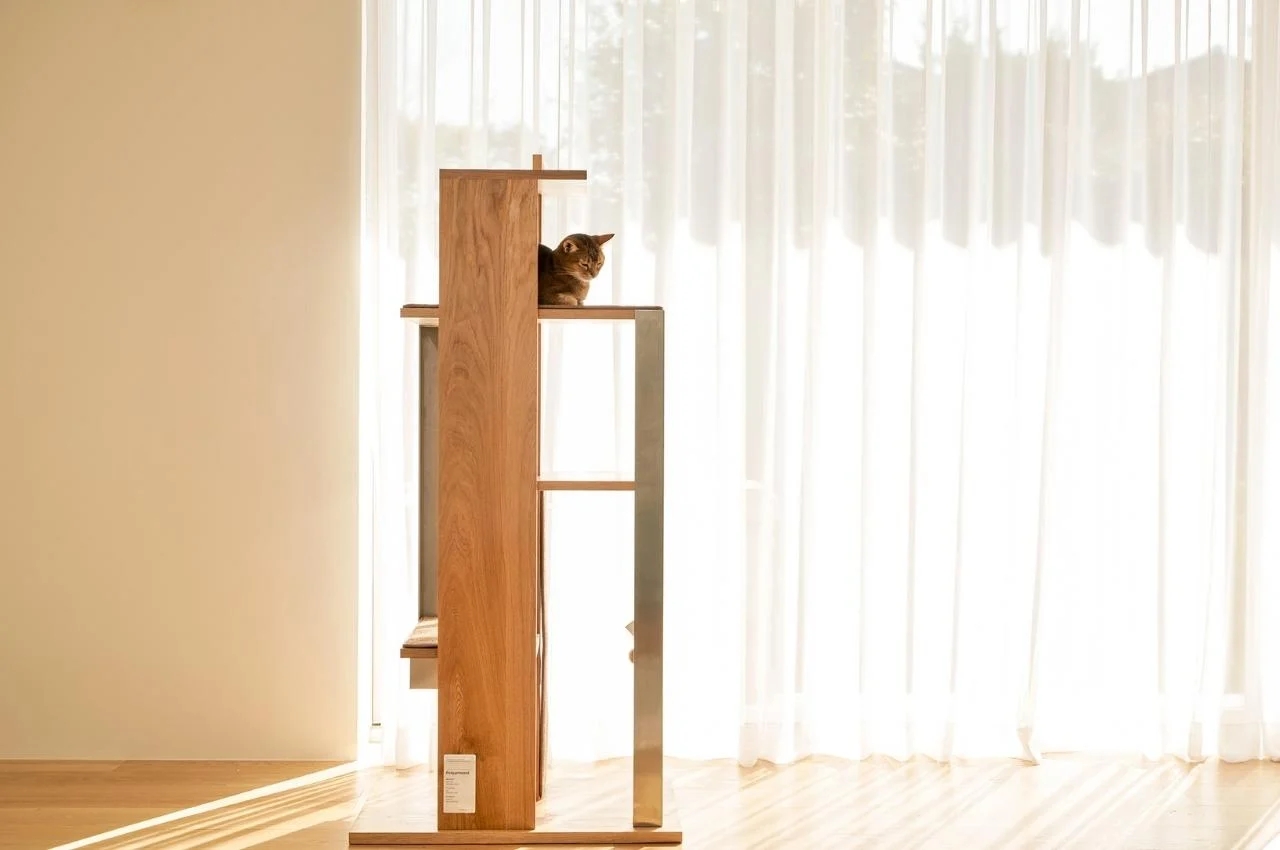 Petpartment，Cat climbing frame，furniture，originality，