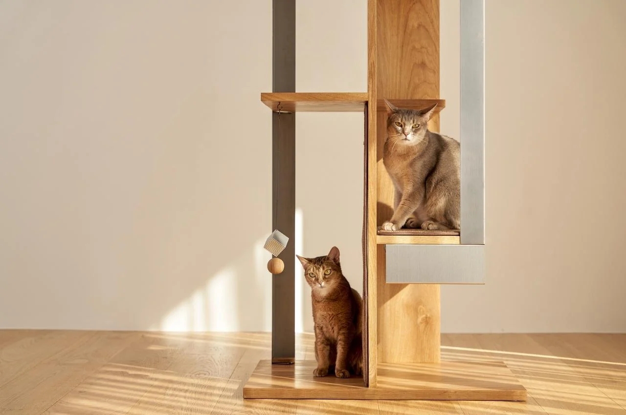 Petpartment，Cat climbing frame，furniture，originality，